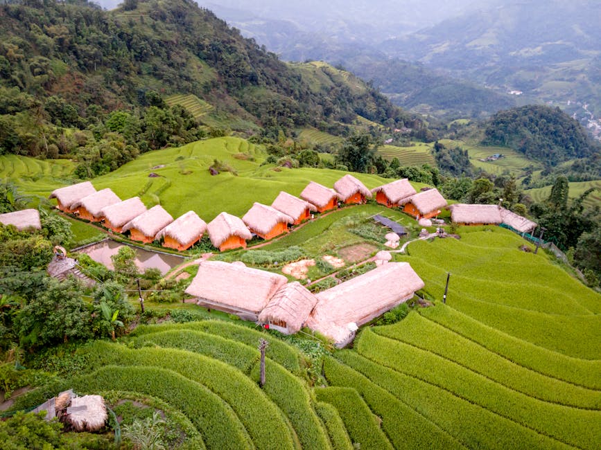 A lodge built into rice terraces in Hoang Su Phi, Vietnam, the kind of small, place-rooted property that tends to keep revenue local