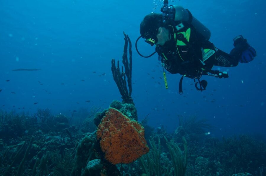 Diver exploring a coral reef off Kralendijk Bonaire