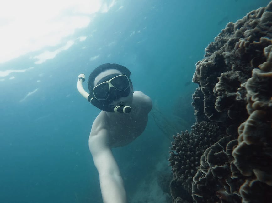 Snorkeler floating over a coral reef in clear blue water
