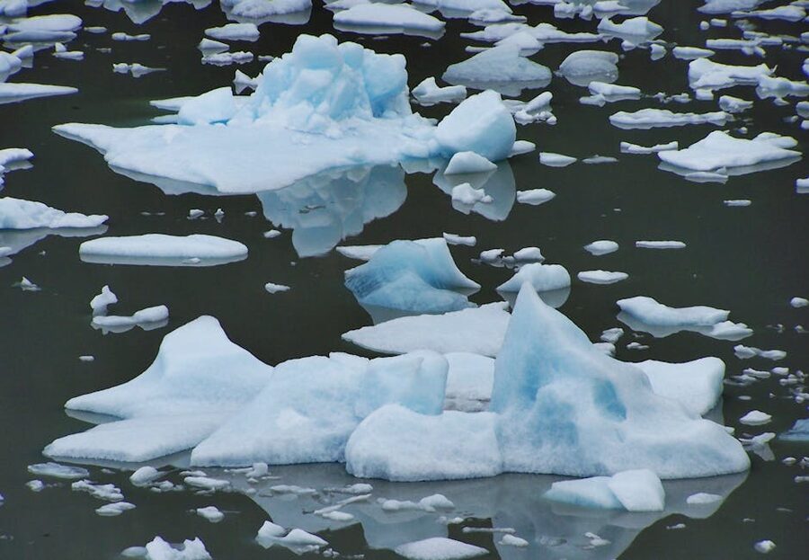Floating icebergs in Magallanes Chile
