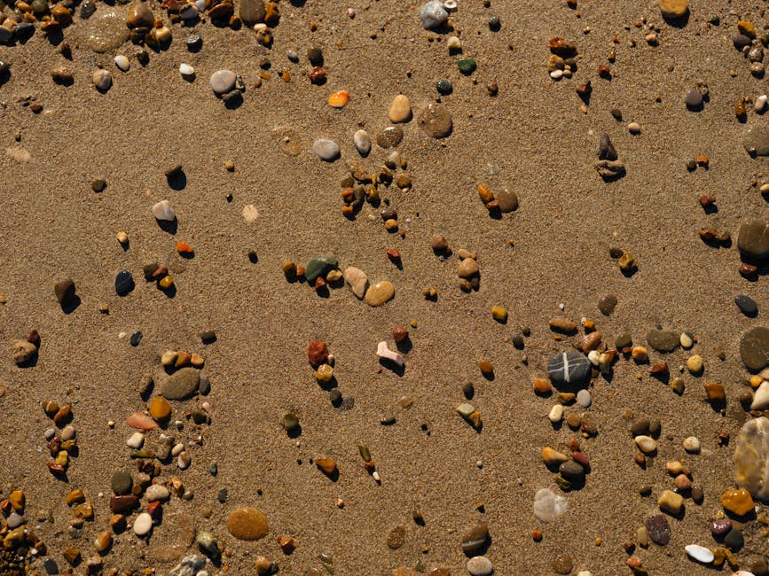 Smooth pebbles and shells on a sandy beach