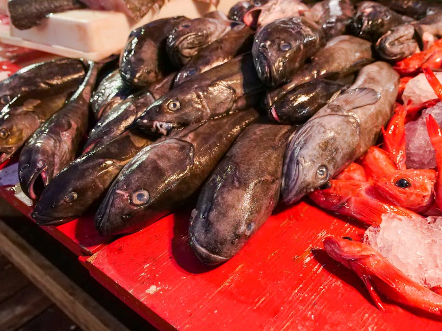 Fresh fish displayed on ice at a seafood market