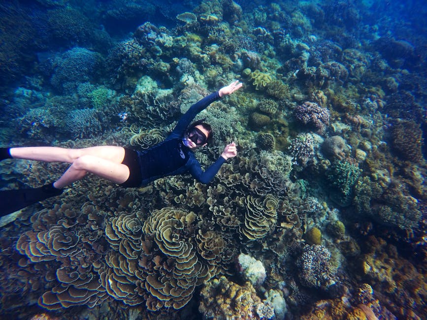 Snorkeler swimming above a coral reef in clear water