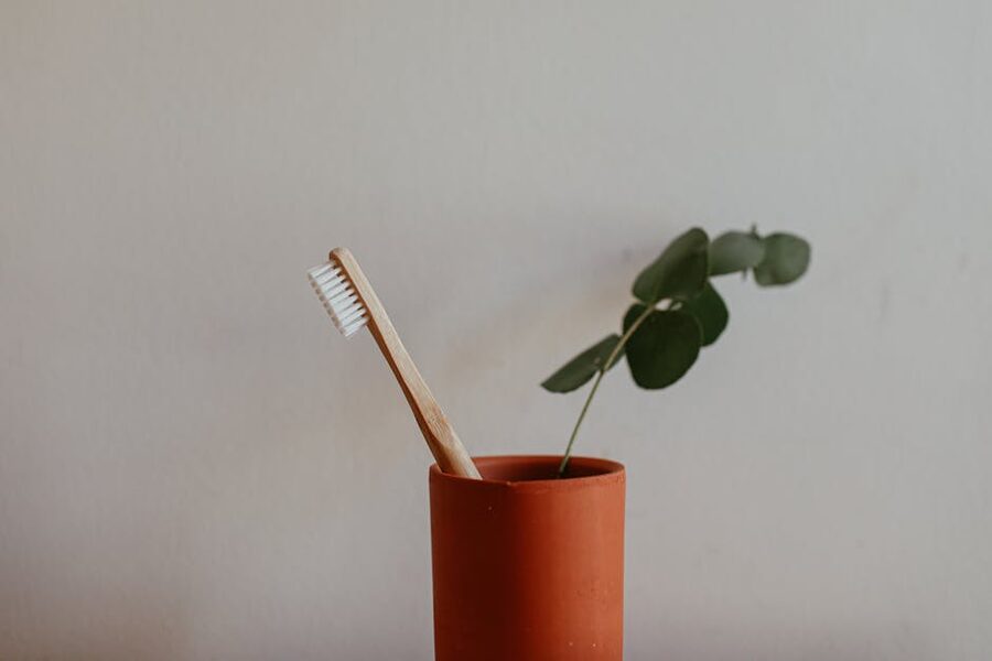 Bamboo toothbrush standing in a terracotta cup with green leaves