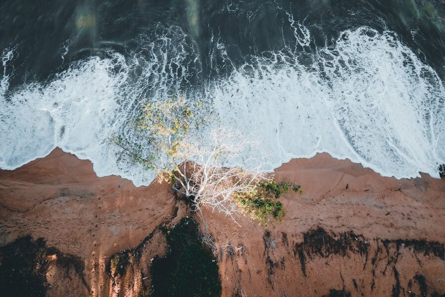 Aerial view of waves crashing on a shoreline with a single tree on the sand