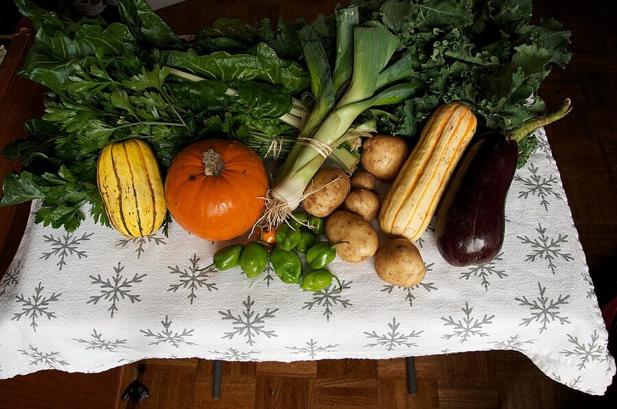 A community-supported agriculture box filled with kale, squash, leeks, swiss chard, potatoes, eggplant and peppers